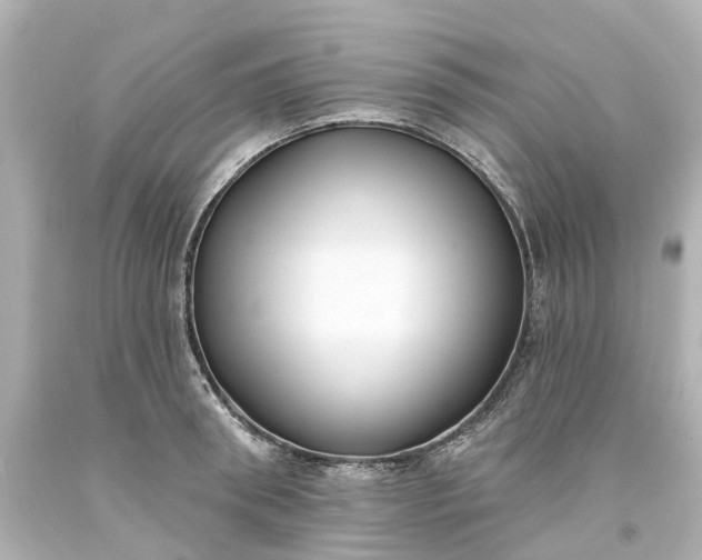 X0000093580898200710291059