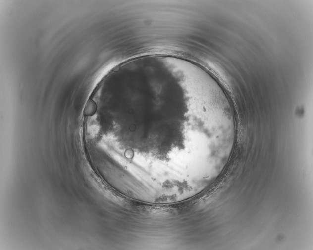 X0000093580899200710291059