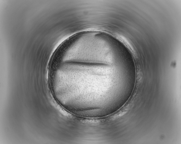 X0000093580900200710291059