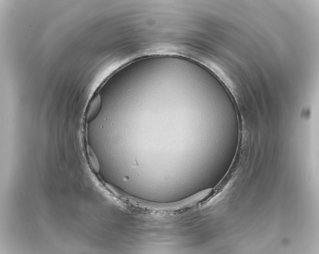 X0000093580901200710291059