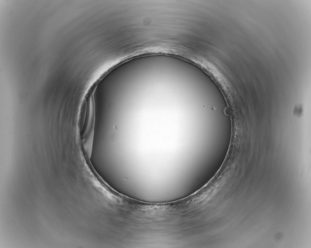 X0000093580902200710291059