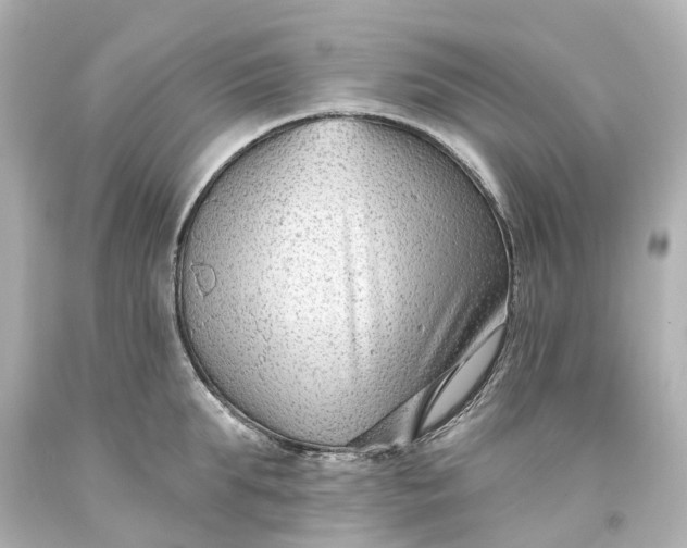 X0000093580903200710291059