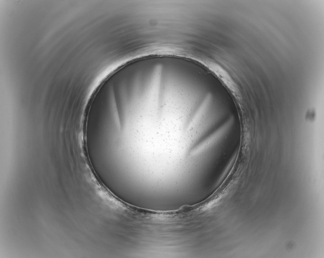 X0000093580904200710291059