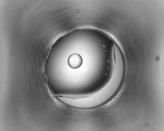 X0000093580905200710291059