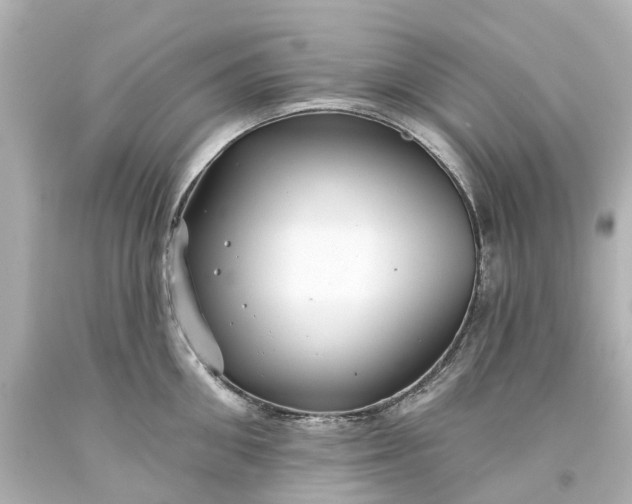 X0000093580906200710291059