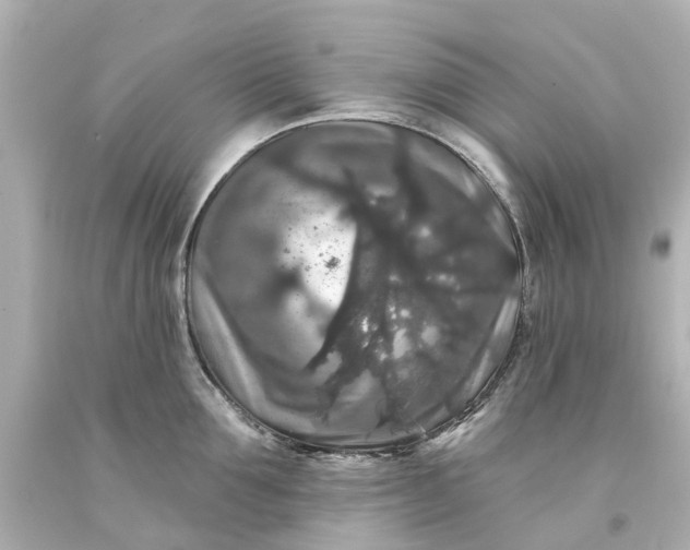 X0000093580907200710291059