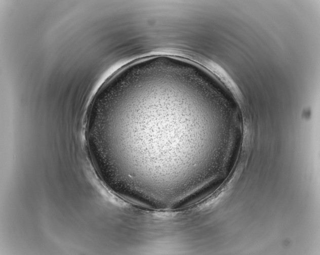 X0000093580908200710291059