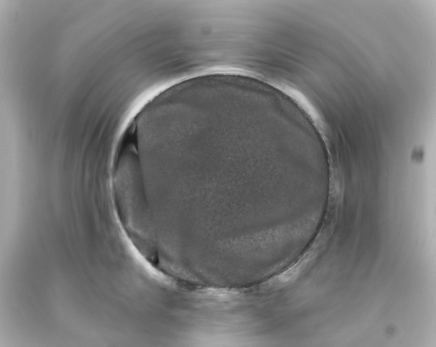 X0000093580910200710291059