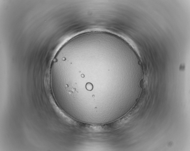 X0000093580911200710291059