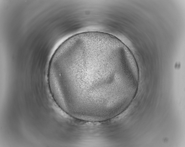 X0000093580912200710291058