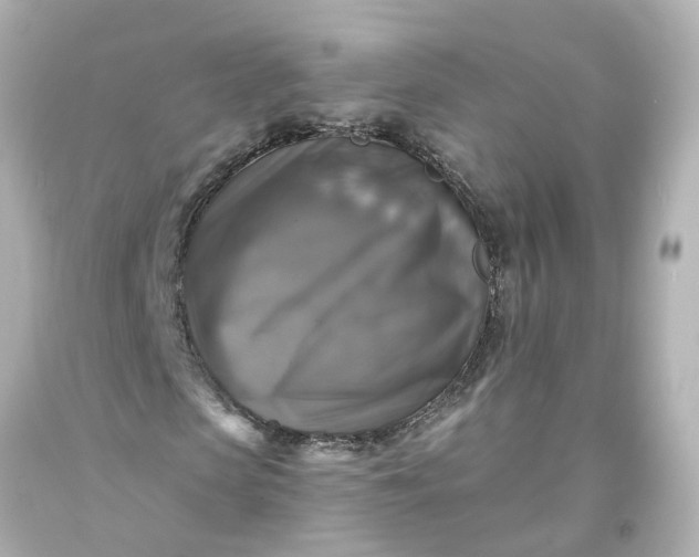 X0000093580913200710291058