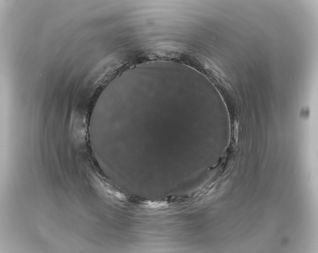 X0000093580915200710291058