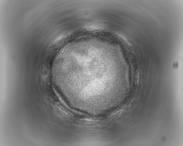 X0000093580917200710291058