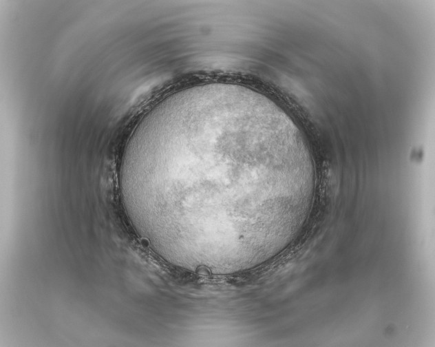 X0000093580918200710291058