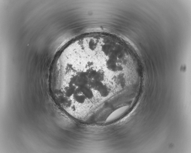 X0000093580921200710291058