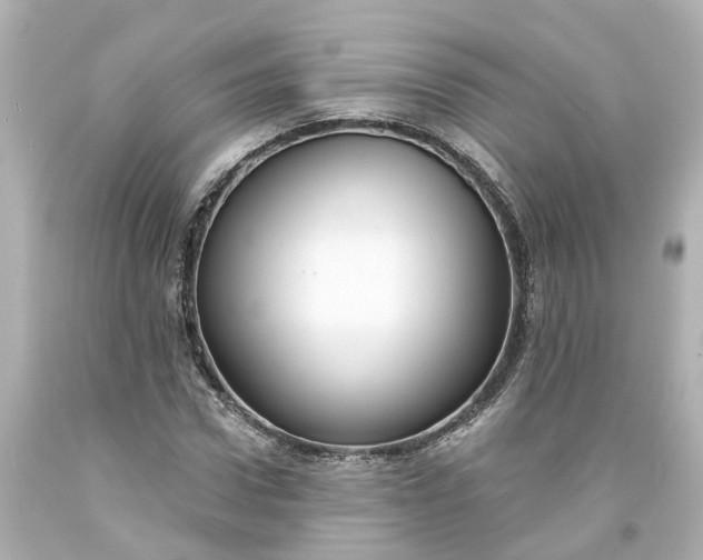 X0000093580922200710291058