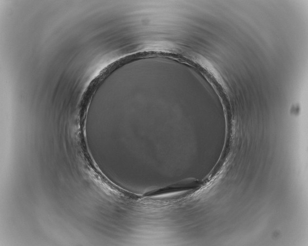 X0000093580923200710291058