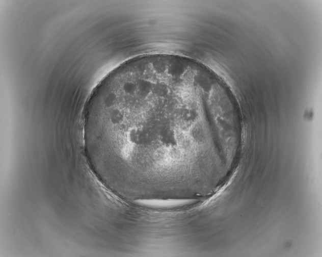 X0000093580925200710291058