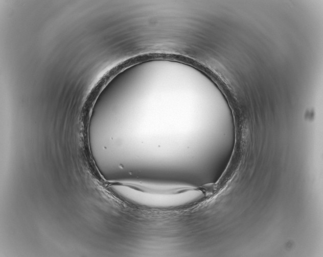 X0000093580926200710291058