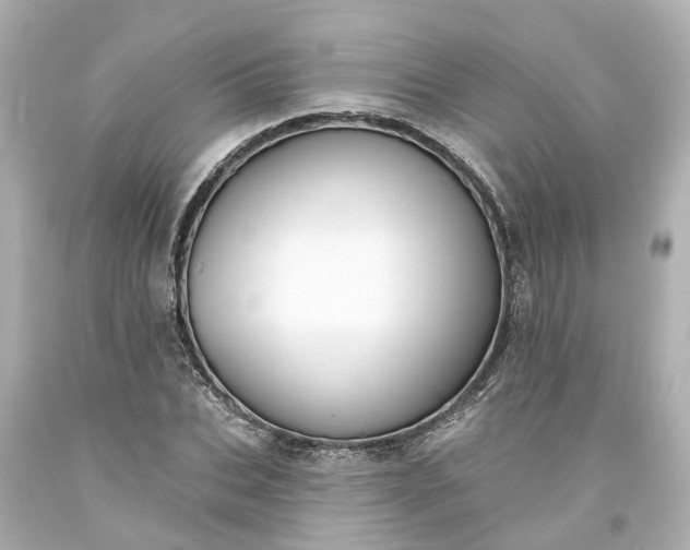 X0000093580927200710291058