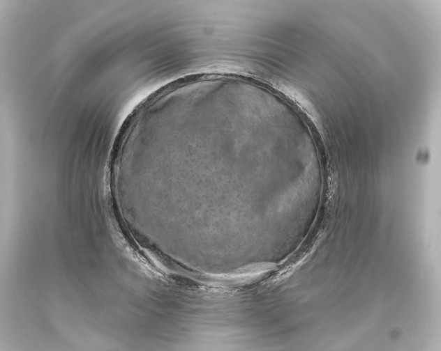 X0000093580928200710291058