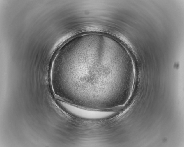 X0000093580930200710291058