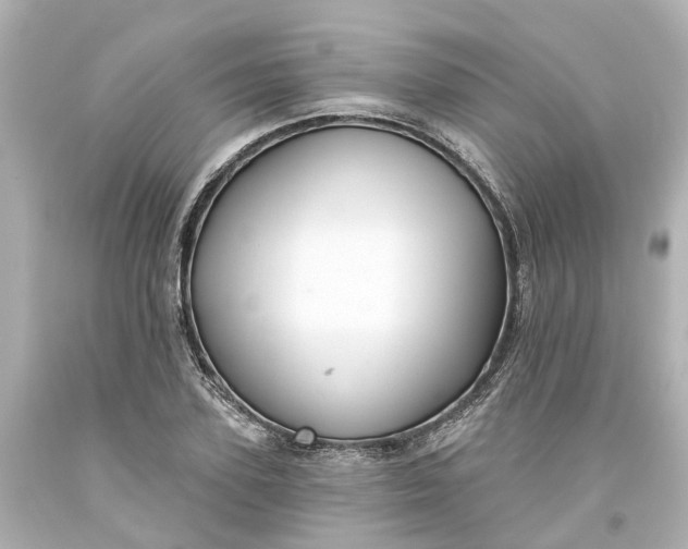 X0000093580931200710291058