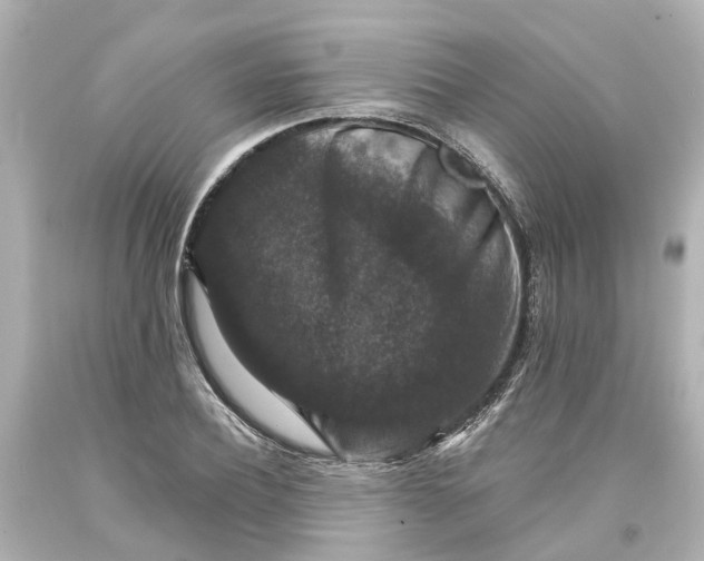 X0000093580932200710291058