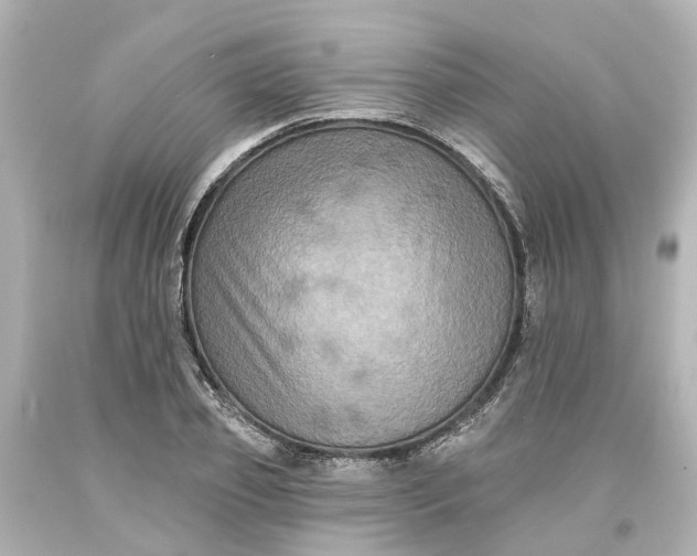 X0000093580933200710291058