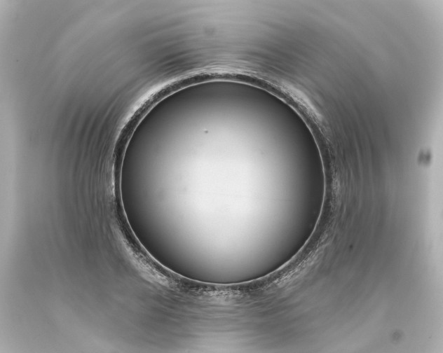 X0000093580934200710291058