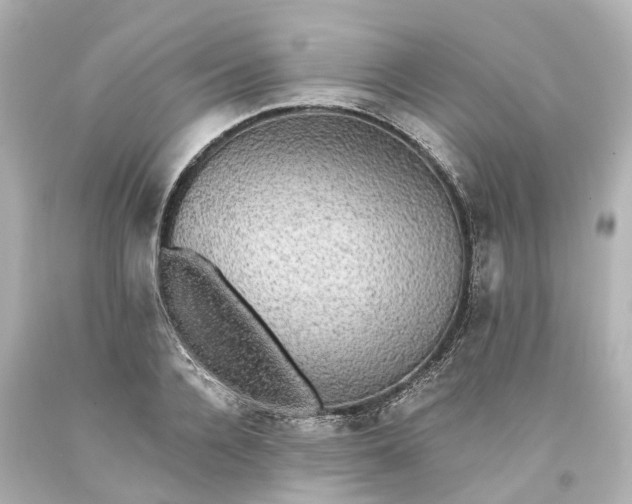 X0000093580936200710291058