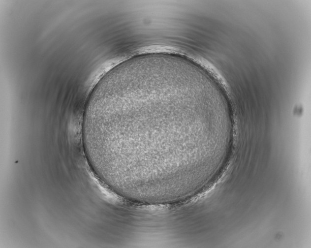 X0000093580937200710291058