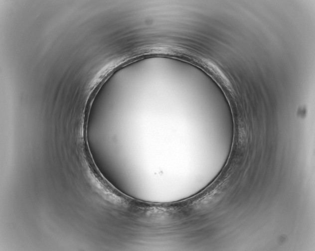 X0000093580938200710291058