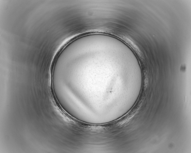 X0000093580940200710291058