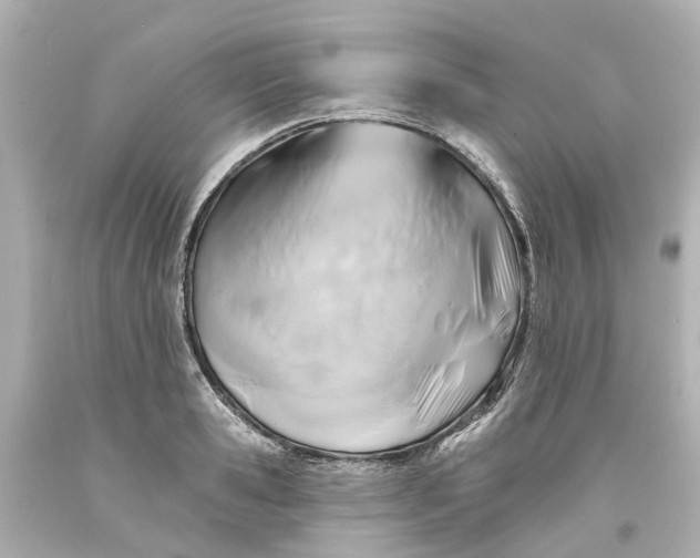 X0000093580941200710291058