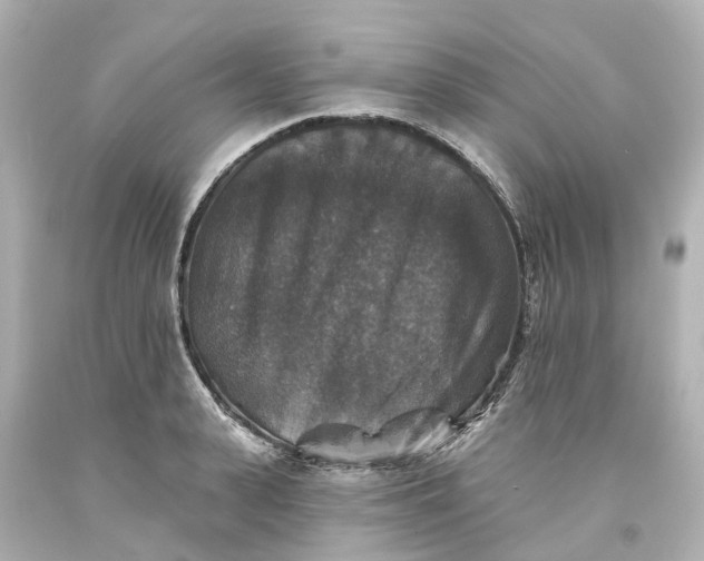 X0000093580943200710291058