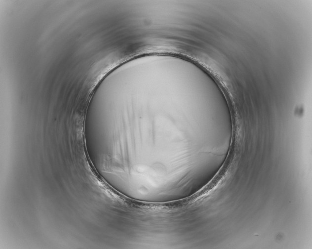 X0000093580945200710291058