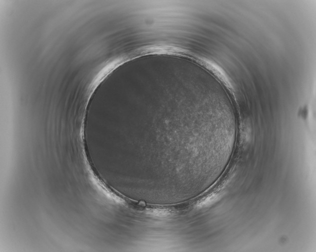 X0000093580946200710291058