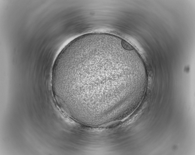 X0000093580948200710291058