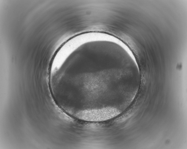 X0000093580950200710291058