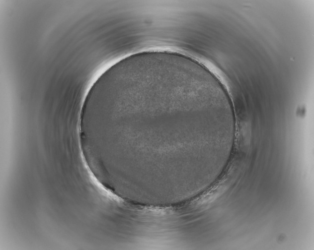 X0000093580951200710291058