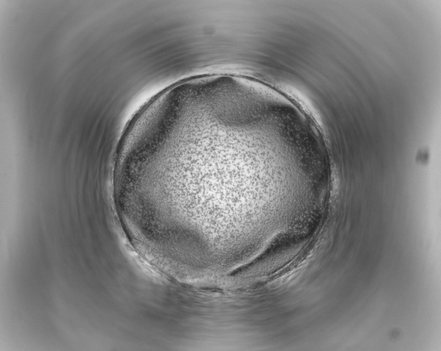 X0000093580952200710291058