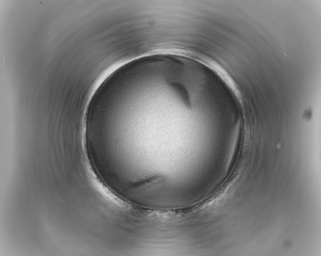 X0000093580955200710291058