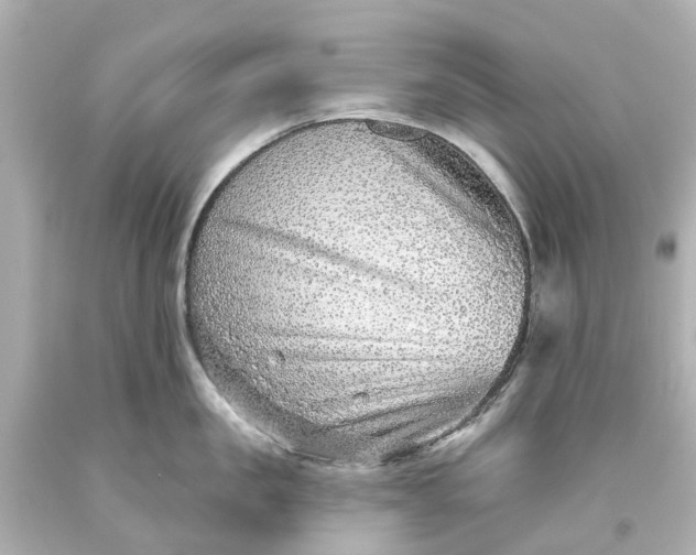 X0000093580957200710291058