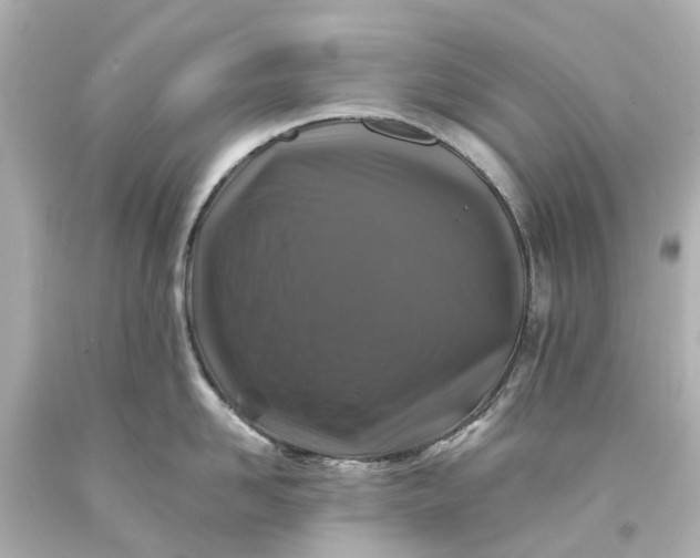 X0000093580958200710291058