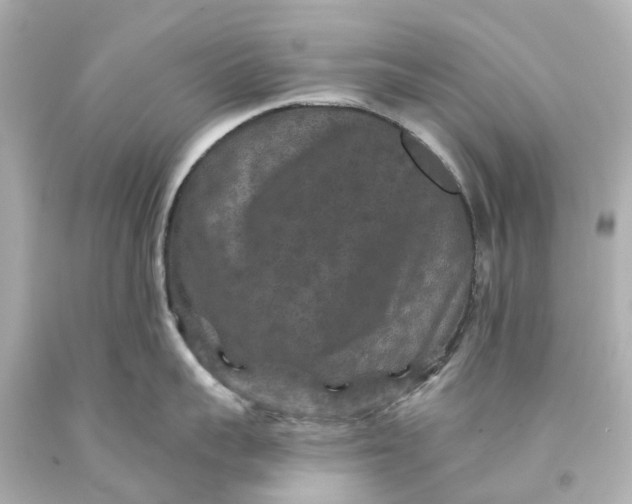 X0000093580959200710291058