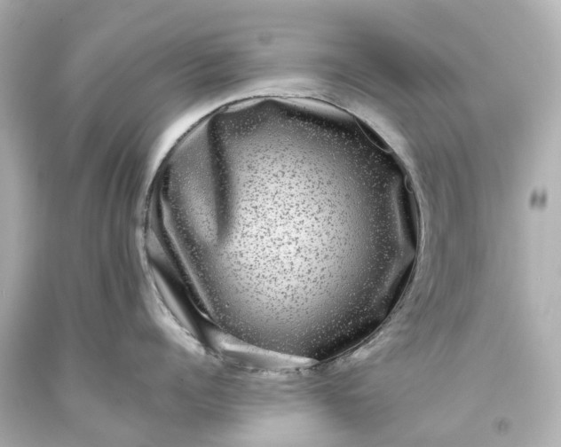 X0000093580960200710291058