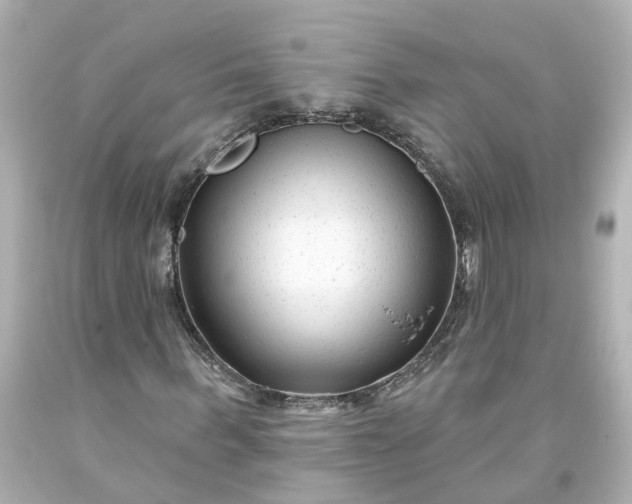 X0000093580963200710291058