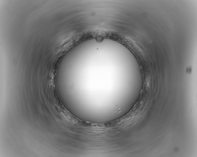 X0000093580964200710291058