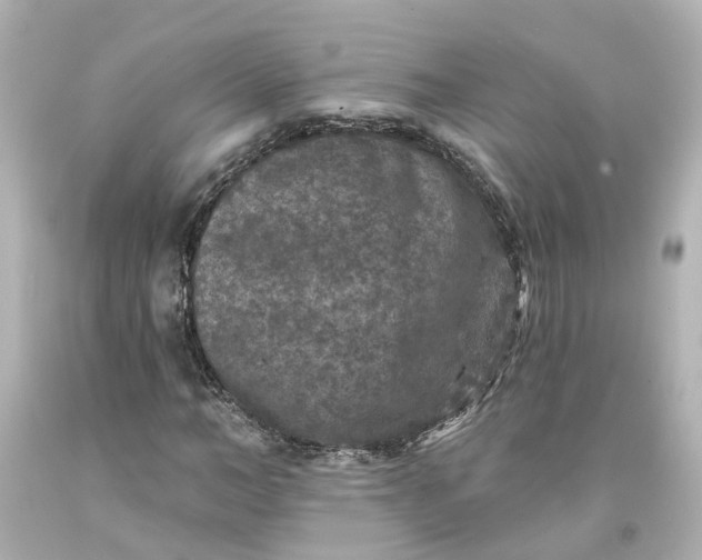 X0000093580966200710291058